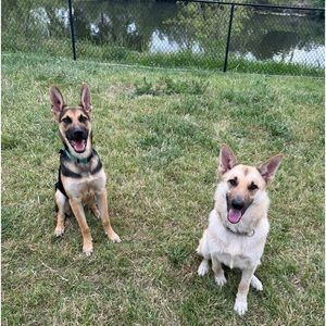 Meet your Posher, Erin